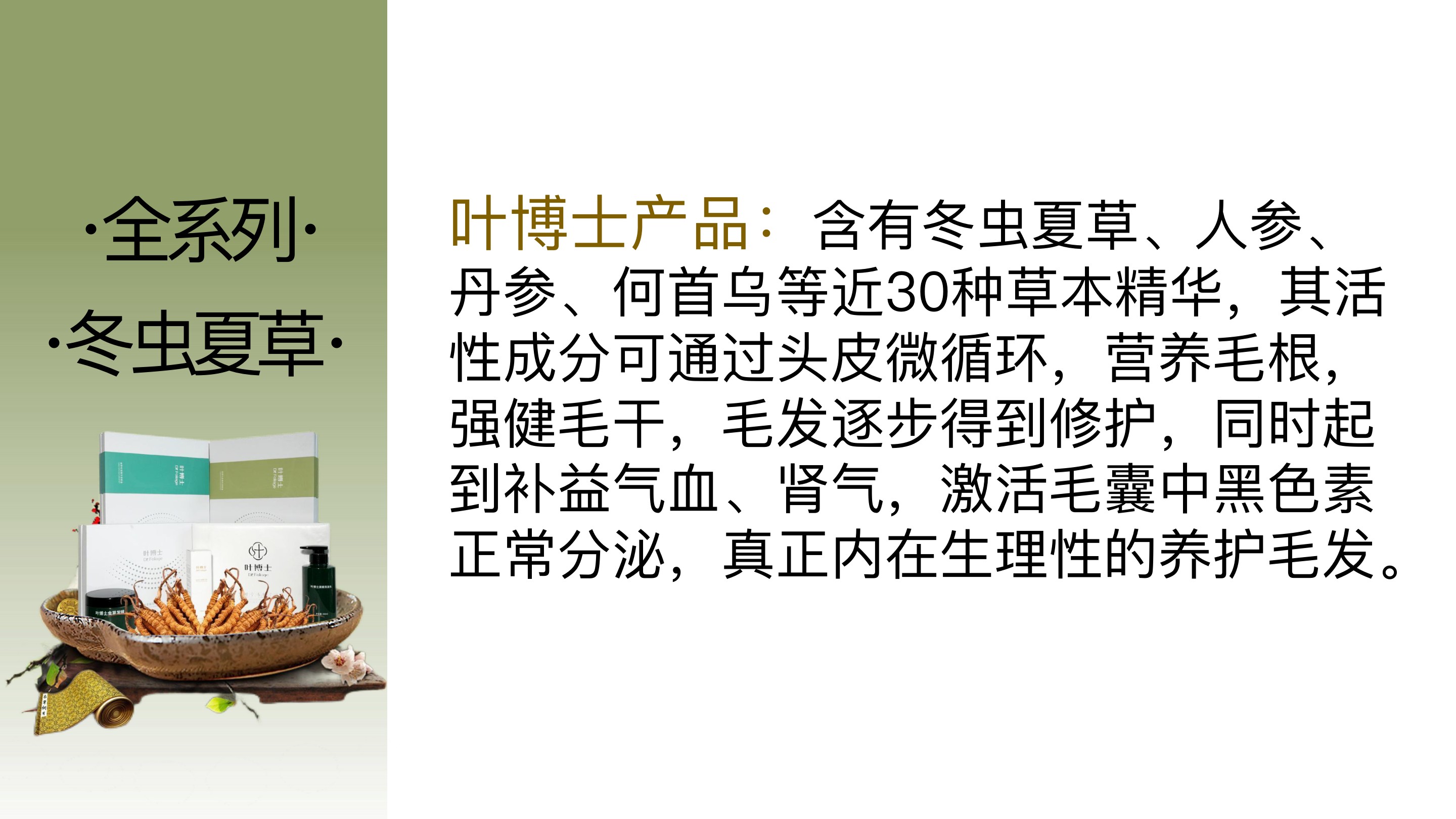 叶博士产品系列